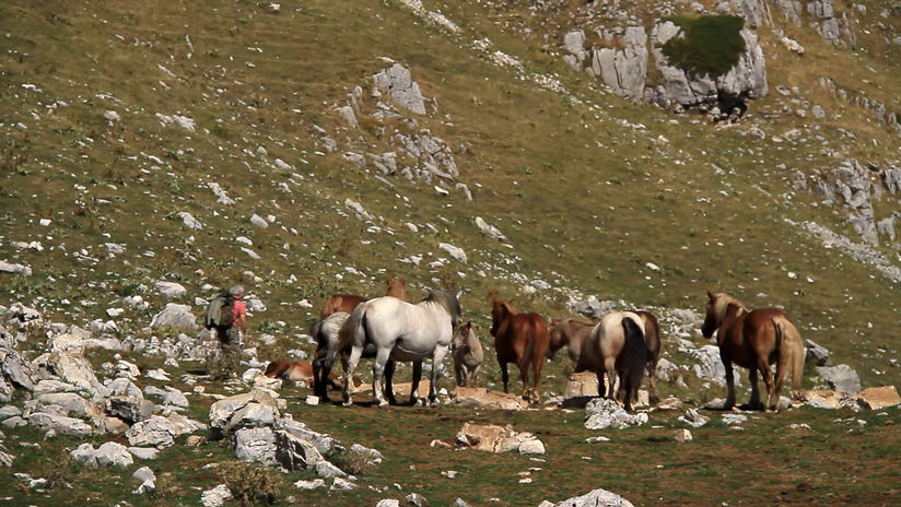 Promo La Via del Canto